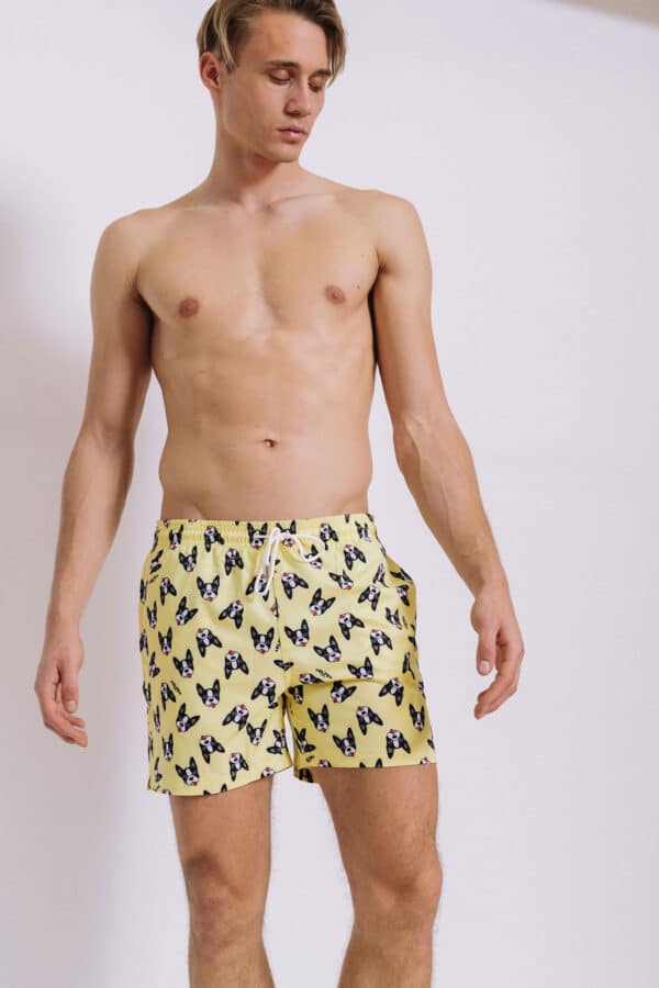 MEN'S SUMMER SHORTS BOSTON TERRIER