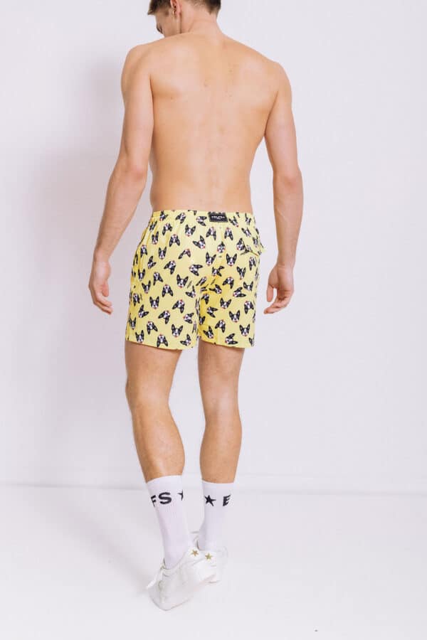 MEN'S SUMMER SHORTS BOSTON TERRIER