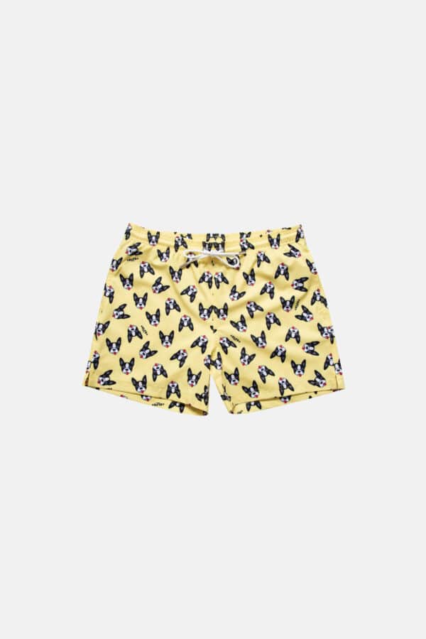 MEN'S SUMMER SHORTS BOSTON TERRIER