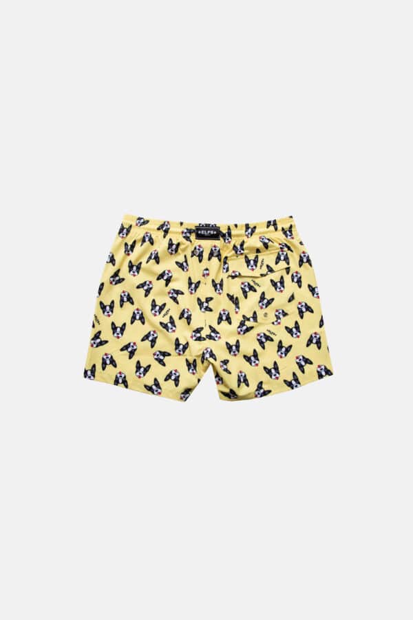 MEN'S SUMMER SHORTS BOSTON TERRIER