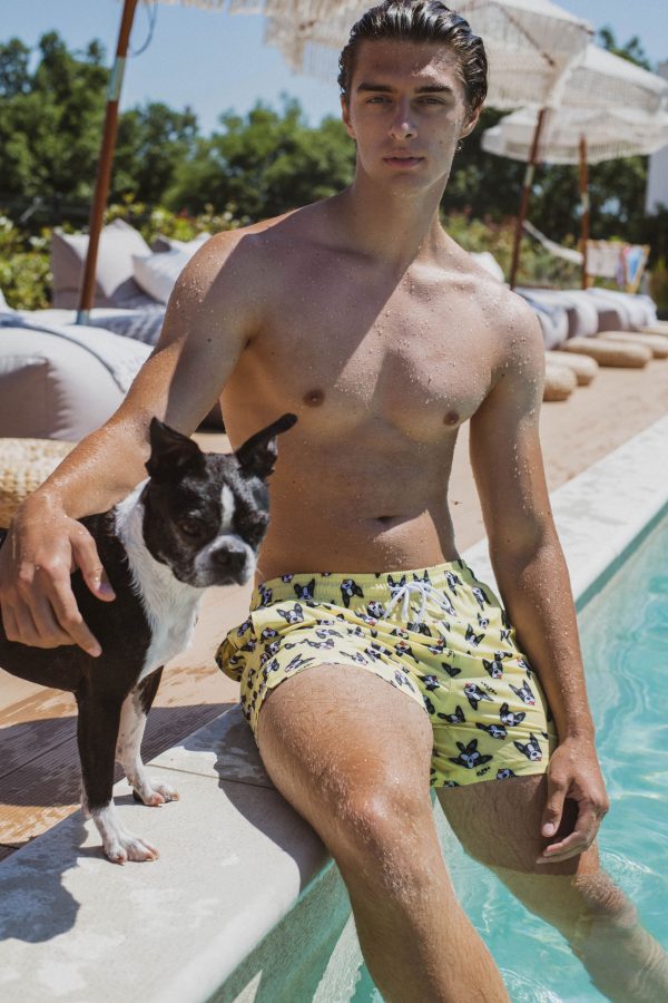 MEN'S SUMMER SHORTS BOSTON TERRIER